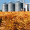 Grain Storage and FIBCs