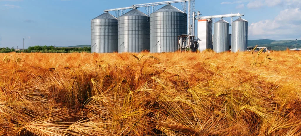 Grain Storage and FIBCs