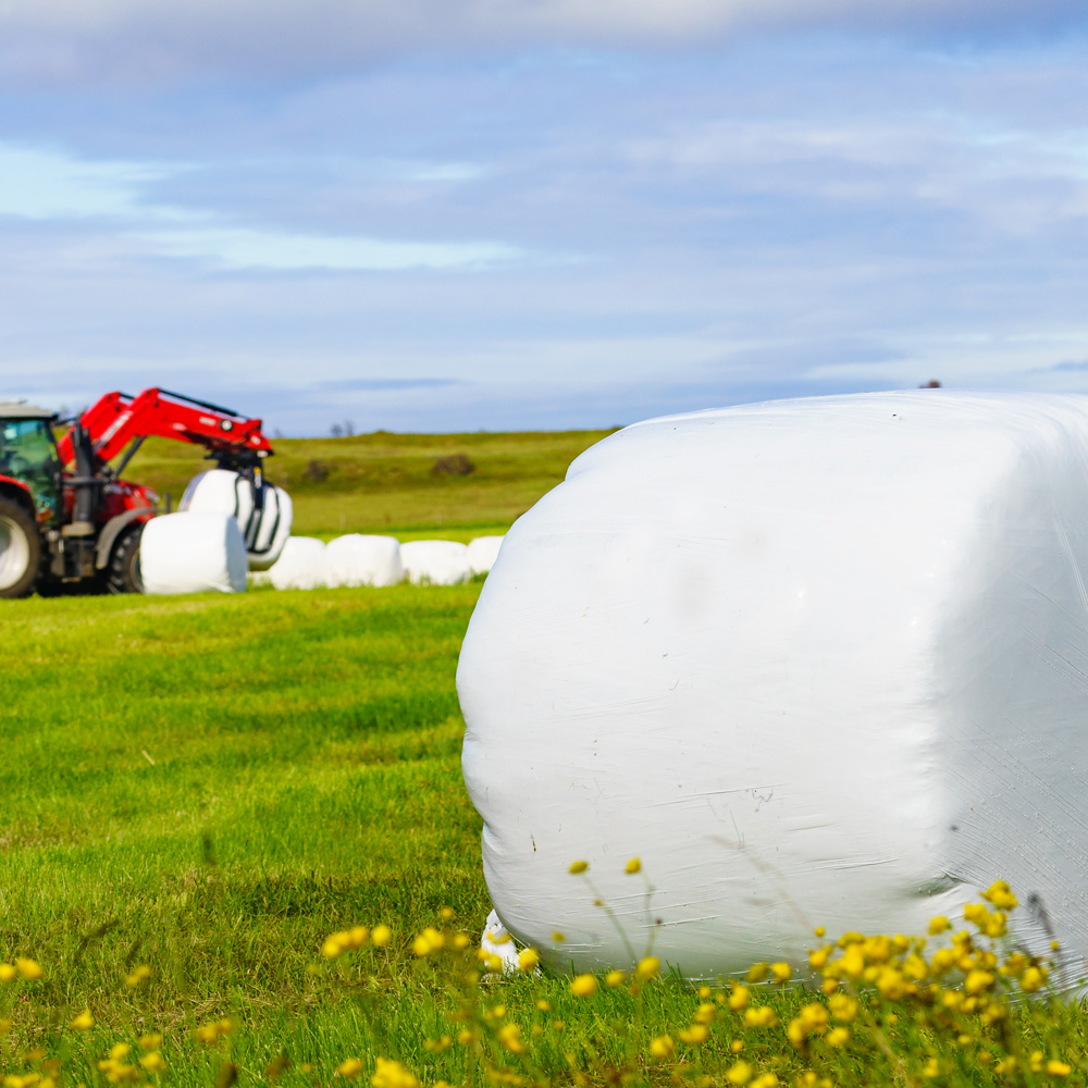 Bale Wrap in a field